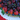 Close up of the Berry Tart with strawberries and blueberries over vanilla custard in a golden tart crust