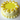 Lemon Delight Cake side view with lemon buttercream piping