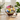 The Steaming Kettle Tea Gift Basket Large in a sunny kitchen | Boston Gift Baskets