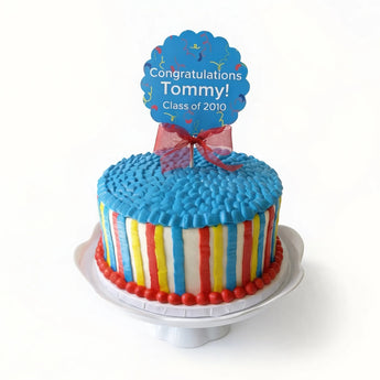 Colorful cake with a 'Congratulations Tommy! Class of 2010' topper on a white background