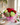 Cupcake Bouquets