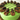Close view of chocolate peppermint patties and chocolate rosettes on mint green frosting