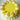 Lemon Delight Cake top view with lemon glaze and buttercream swirls