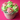 Sweet Pea Cupcake Bouquet with sweet pea frosted cupcakes, second view