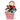 Graduation Congratulations Gift Basket
